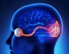 نصائح عن التهاب العصب البصري