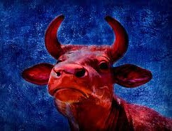 قصة البقرة الحمراء عند اليهود