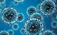يتكاثر فيروس القوباء عن طريق دورة التحلل، أما فيروس الأنفلونزا فيتضاعف ويتكاثر بالدورة الاندماجية صح أم خطأ