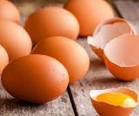قشرة البيضة غلاف كلسي ذو مسام يسمح بنفاذ الماء والهواء داخل البيضة والخروج منها.