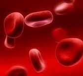 كم عدد لترات الدم في الجسم البشري